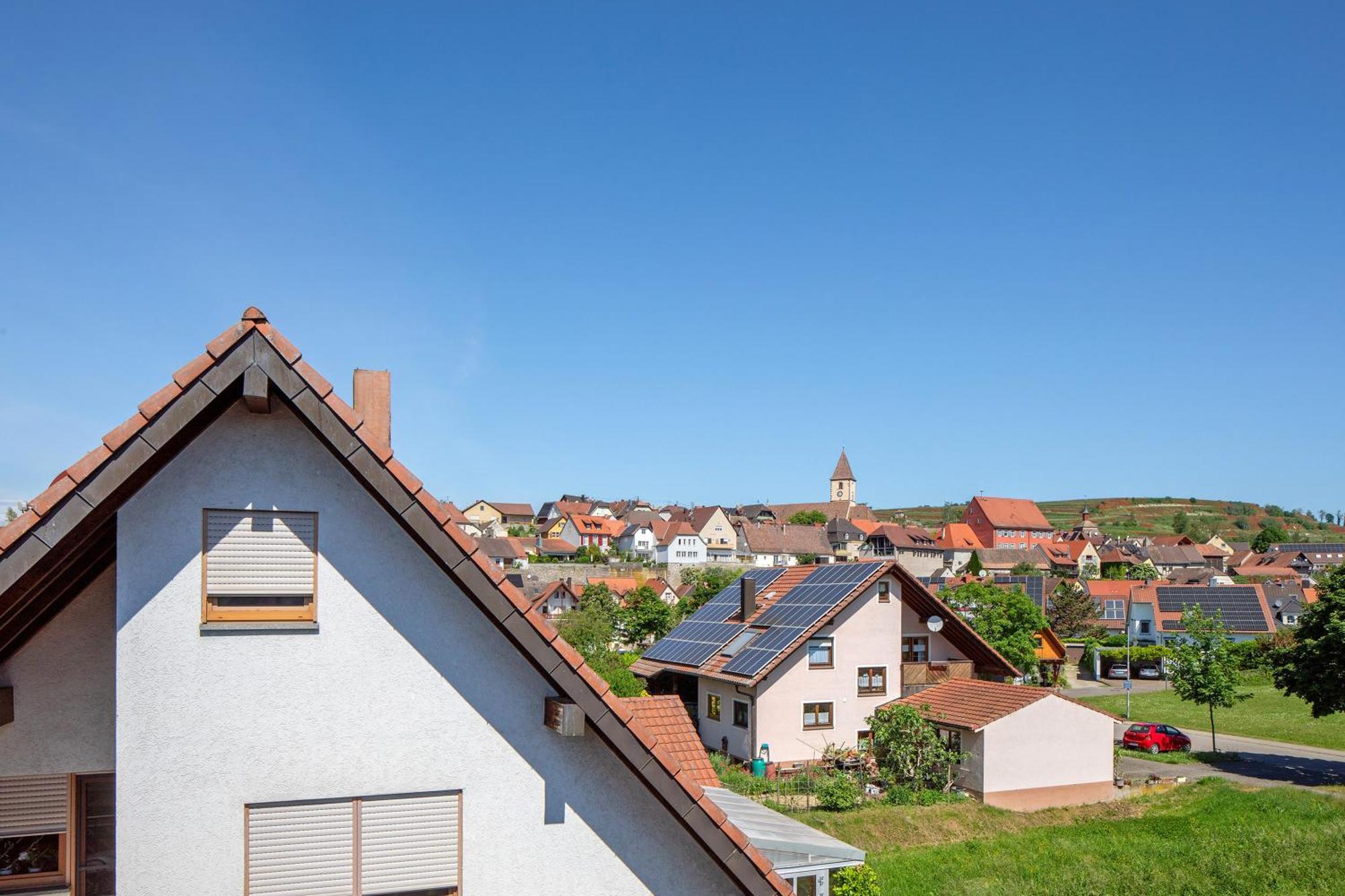 Trogus * Vogtsburg im Kaiserstuhl